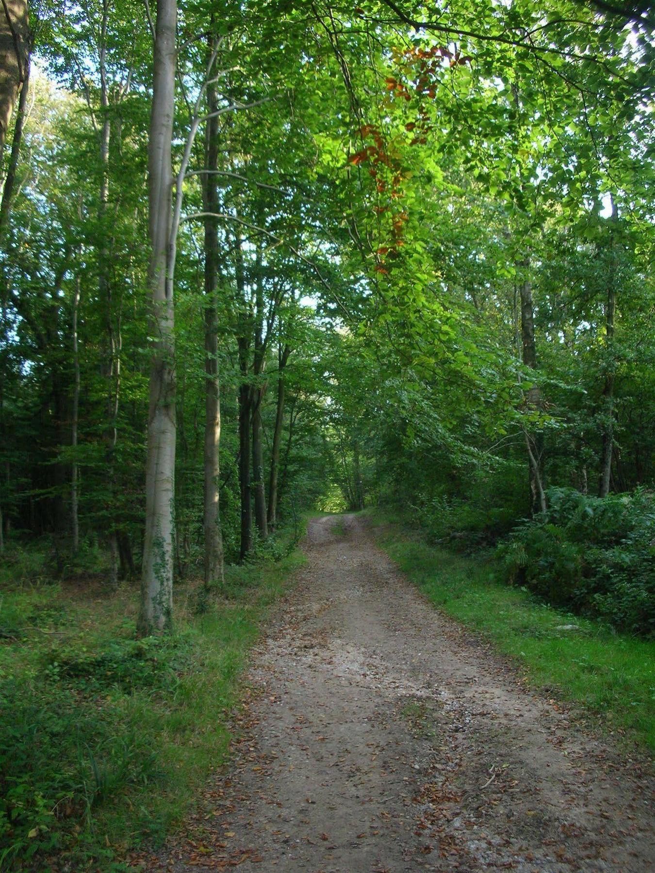 Les Jardins D'Hardelot Otel Dış mekan fotoğraf